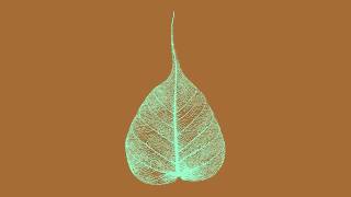 150805 Disidentifying with the Hindrances \ \ Thanissaro Bhikkhu \ \ Short Dhamma Talk