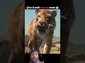 दुनिया के सबसे खतरनाक जानवर 😱🤯 #shorts #facts #viralvideo