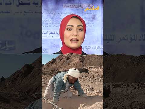 خريطة قديمة تطلق عملية البحث عن كنز في قرية هولندية