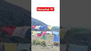 Himachal Day • Dharamshala Vibes • Macleodganj #song #music #love