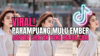 PARAMPUANG MULU EMBER - ADRYAN LIHAYAN  NEW REMIX VIRAL TIKTOK 2024