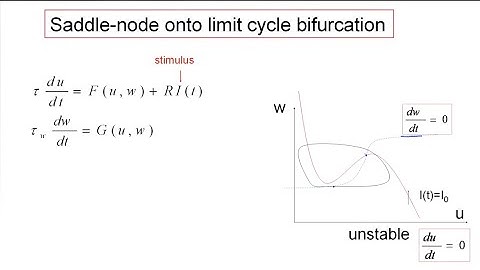 CNS4.4B - Firing threshold in 2D models