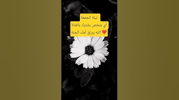 #اللهم_صل_وسلم_على_نبينا_محمد #اكسبلور #اقتباسات #الله #تيك_توك #رسول_الله #القارئ #حكمة_اليوم