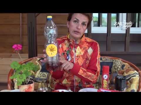 Как избавиться от мух и ос Препараты Мухояр