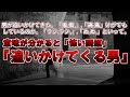 【ゆっくり解説】男が追いかけてきた、「傷、傷、」、「痛、痛」、けがでもしているのか。「ラシ、ラシ、」、「ぬ、ぬ、」といって。。。意味が分かると「怖い問題」、『追いかけてくる男』、『警察官』、『手紙』