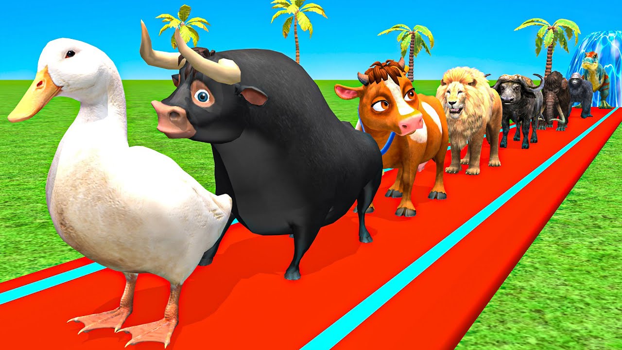 Best Long slide game With Cow Elephant Gorilla Hippopotamus Tiger 3d Animal Game Funny 3d Animals