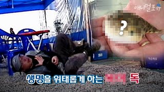 청산가리보다 1000배나 강한 독성을 가진 이것?! | KBS 위기탈출 넘버원 090420 방송