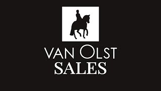 Van Olst Sales Online Totally Unexpected