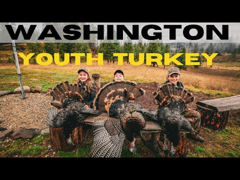 Turkey Hunting Washington - 3 Birds Down