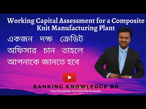 WORKING CAPITAL ASSESSMENT FOR OPERATION OF A COMPOSITE KNIT FABRICS MANUFACTURING PLANT