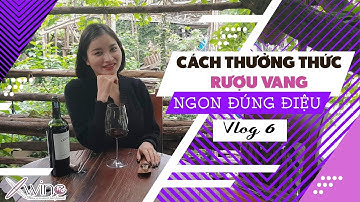 Tập 6: Cách thưởng thức rượu vang ngon đúng điệu - Xwine - Make a moment lates forever