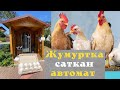 / Жумуртка саткан автомат/ Ар бир Айылга керек экен/ Жаңылык/