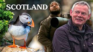 Into the Wild: Scotland’s Untamed Secrets