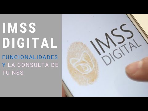 Cómo Usar la Aplicación IMSS Digital, sus Funcionalidades y la Consulta de tu NSS