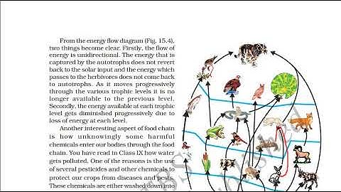 10th Standard | Science | Chapter 15 | Our Environment | Part 2 | Karnataka State Syllabus