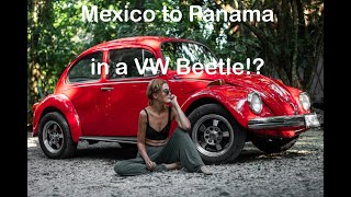 I drive my 48 year old VW BEETLE to PANAMA