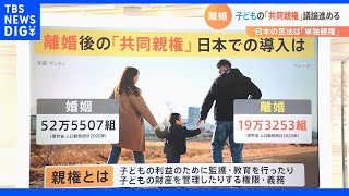 離婚後の「共同親権」日本での導入は？　現在の民法では父母いずれかの「単独親権」　それぞれの「課題」と「今後の議論」｜TBS NEWS DIG