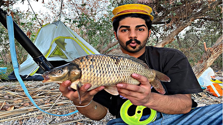 تخييم 🏕️ وصيد يوم كامل إني وصديقي - لاول مره داخل الغابه - نصدمت بلصيد الموجود بيه 😱