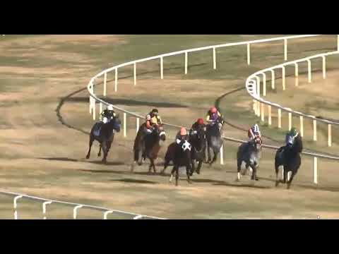 R5 TURF PARADISE USA 12 JAN 2026 