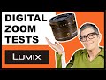 Lumix Zoom Modes Compared: Digital Zoom vs Extended Teleconverter