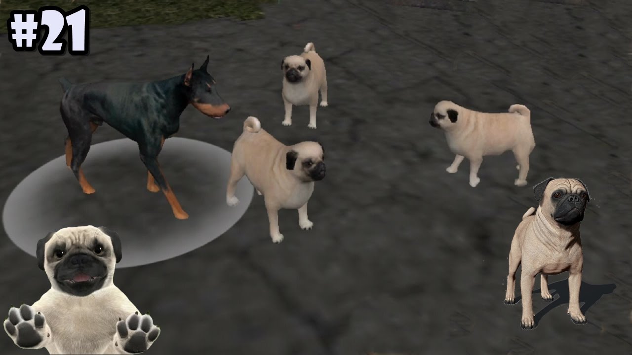 puppy sim sim pug dogs android ios gameplay part 21 puppy sim sim pug dogs android ios gameplay part 21