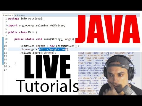 Programming Live - custom Java App/Web-Bot