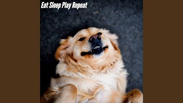 Pulsating Energetic Waves