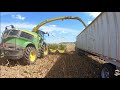2019 Corn Silage Harvest at Convoy Dairy