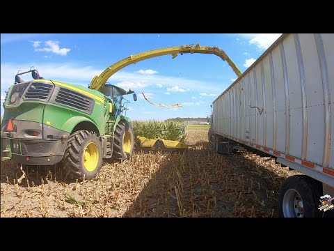 2020-corn-silage-harvest-at-convoy-dairy