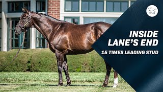 Lane's End: Birthplace Of The Stars