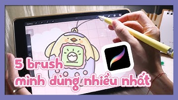 5 Brush Procreate mình dùng nhiều nhất và cách cài đặt brush mới | Top 5 brush Procreate