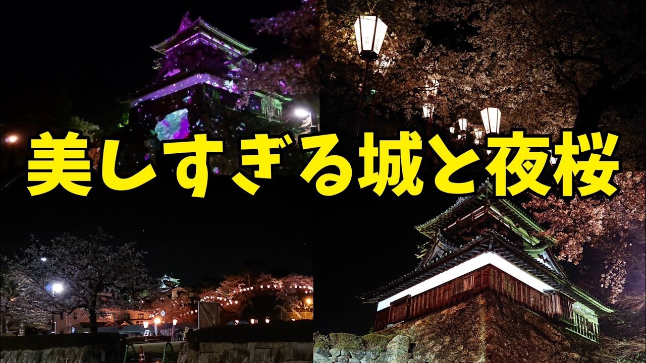 夜桜ライトアップ 丸岡城桜祭り プロジェクションマッピングも Youtube