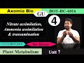 Nitrate assimilation, Ammonia assimilation &amp; transamination| CUET PG|Bsc botany|6th sem | Axomia Bio