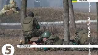 Житомир: Под Житомиром прошли учения десантников