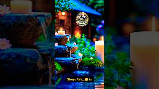 🌿 ASMR Relaxing Piano &amp; Nature Sounds🌿Bamboo Water, Crickets &amp; Calm Night🌙 Deep Sleep Music