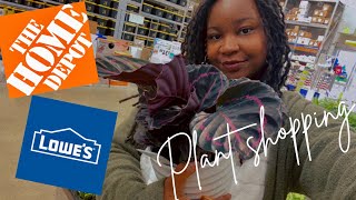 Plant shopping at Lowes and Home Depot! Great deals on hanging baskets!