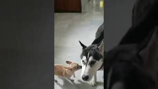 312919618 5710254239059623 6012339939858919180 n