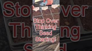 Don't Over Think Seed Starting! #garden #startingseeds #gardenessentials #short