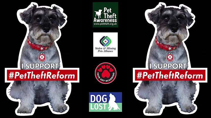 DogLost Founder Jayne Hayes at the APDAWG #PetThef...