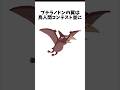 【雑学】くだらないけど面白い動物の雑学 #shorts #雑学 #動物