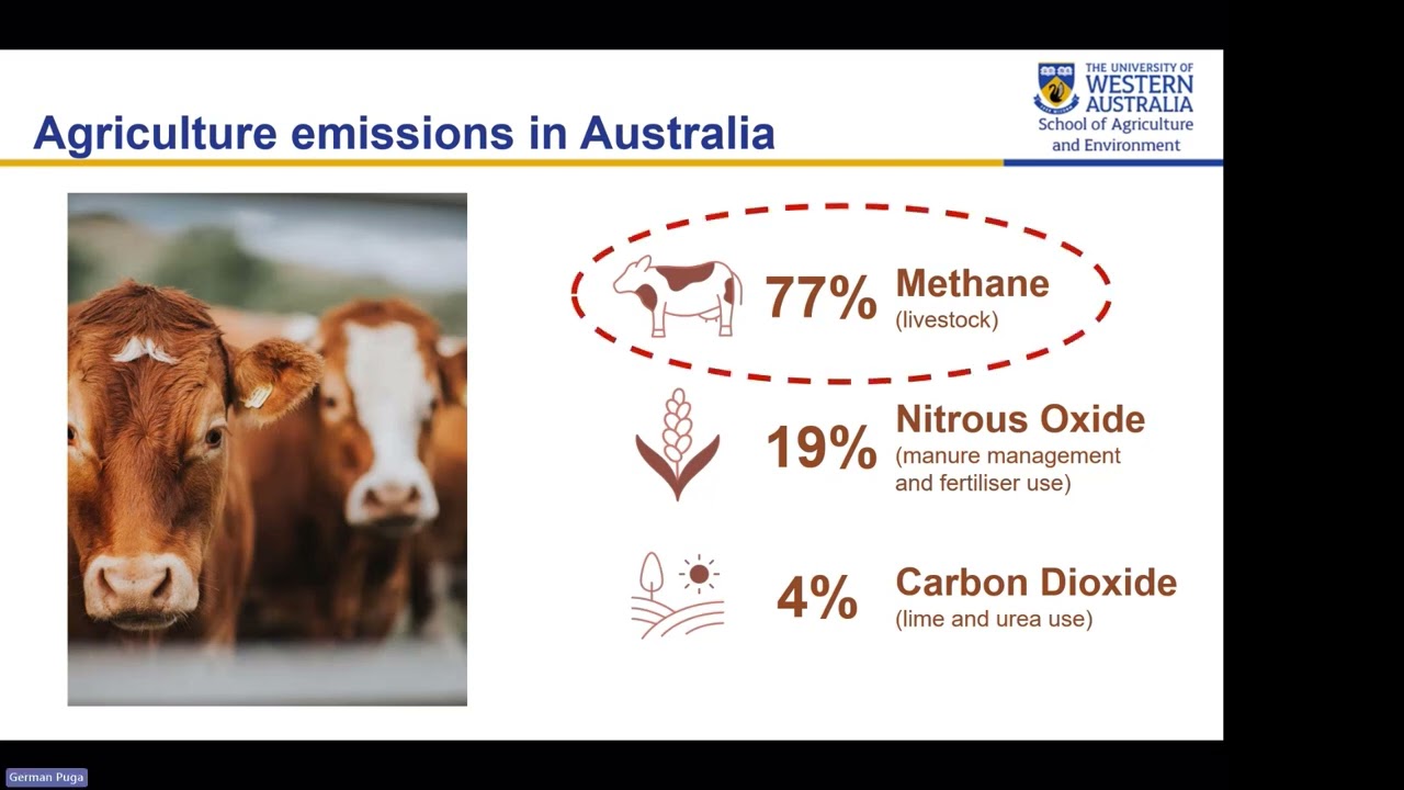 Strategies to reduce emissions from Australian farms