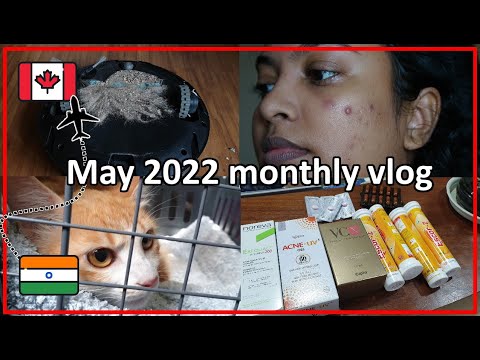 May 2022 monthly vlog [India to Canada journey prep] - Ep 13