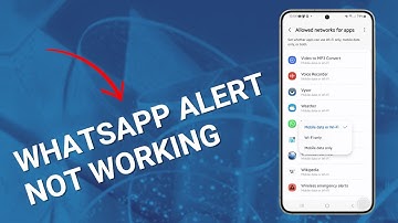 How To Fix WhatsApp Alerts Not Working on Galaxy S24