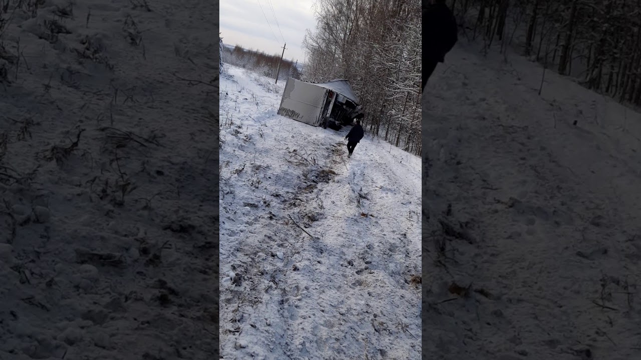 Прогноз в чайковском пермский край. Альняш (Чайковский городской округ). Альняш Пермский край Чайковский район. Деревня Альняш Пермский край Чайковский район. Село Кемуль Чайковского района.