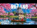 Nagano 4K Discover Mountain Sakura Serenity Alpine Peaks Ancient Temples Blossom Valleys