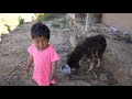 Real videos footage of traditional life ||  Cute puppy || Nepali Village