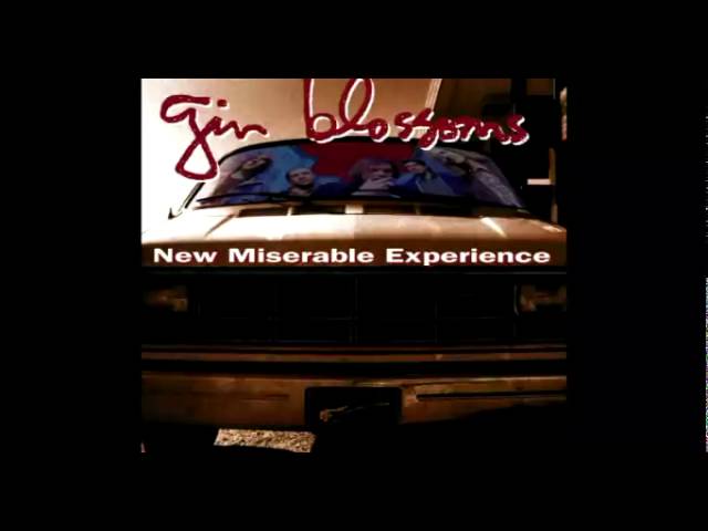 Gin Blossoms - Pieces Of The Night