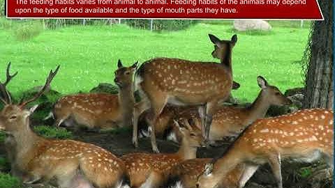 Incredible Science Class 5 - Chapter 4 - Page 45