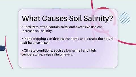 What Causes Soil Salinity? - The World of Agriculture