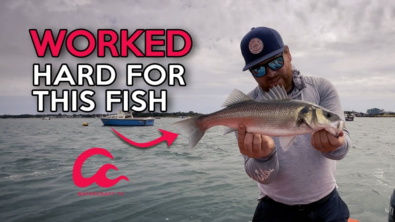 Shore & Boat Fishing for Bass on the South Coast – Hard Work, But We Found a Few!